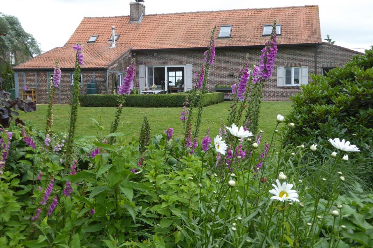 Vakantiewoning Jerome Heuvelland Ngoại thất bức ảnh
